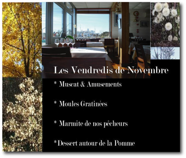 Les Vendredis de Novembre