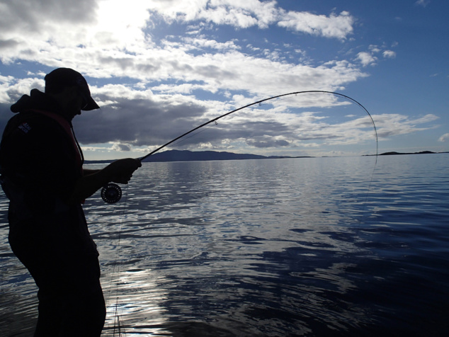 Menu Dimanche 03 Avril midi. 28.00€ * Kir Pétillant et Ses Mises en Bouche * Calamars sautés poivre et sel *Dos de lieu jaune à la plancha * Tarte aux pommes à l'ancienne. Menu Dimanche 03 Avril midi. 28.00€ * Kir Pétillant et Ses Mises en Bouche * Calamars sautés poivre et sel *Dos de lieu jaune à la plancha * Tarte aux pommes à l'ancienne.